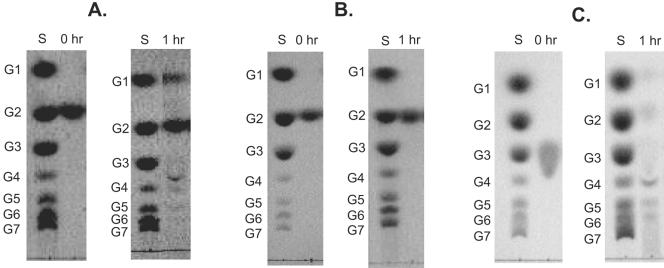 FIG. 6.