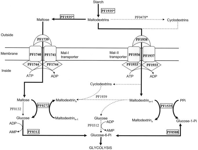 FIG. 4.