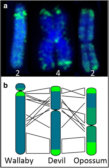 Fig. 4