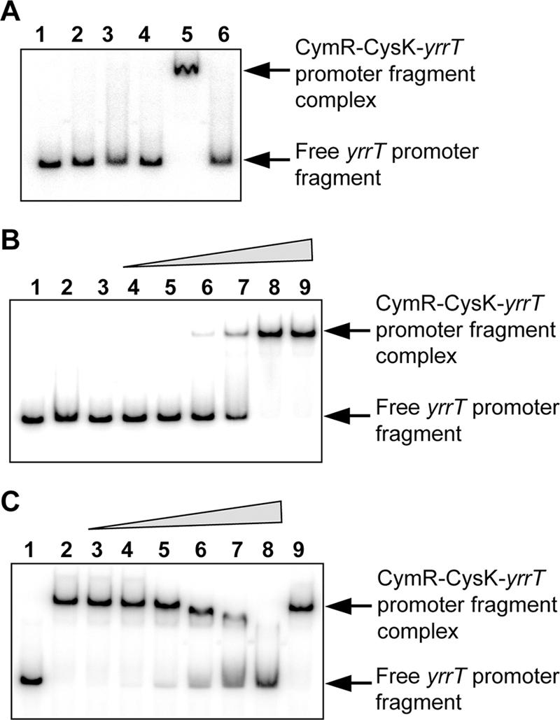 FIG. 7.