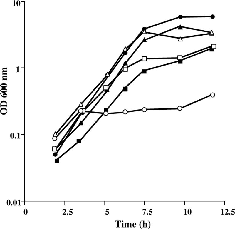 FIG. 2.