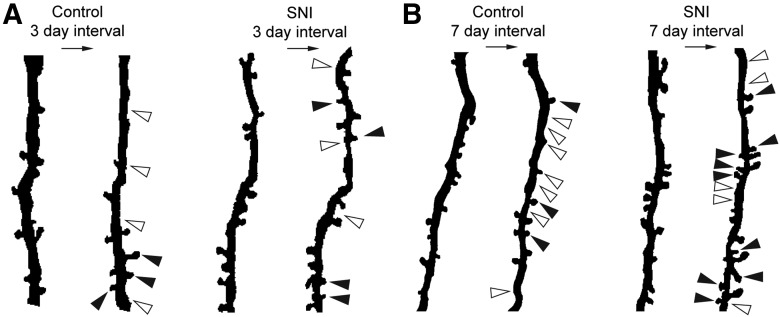 Figure 7.