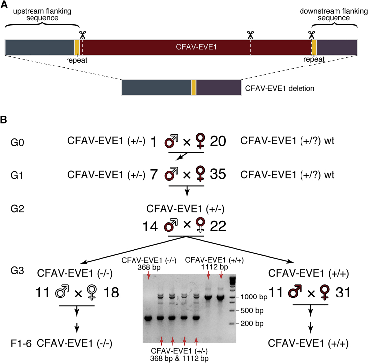 Figure 3