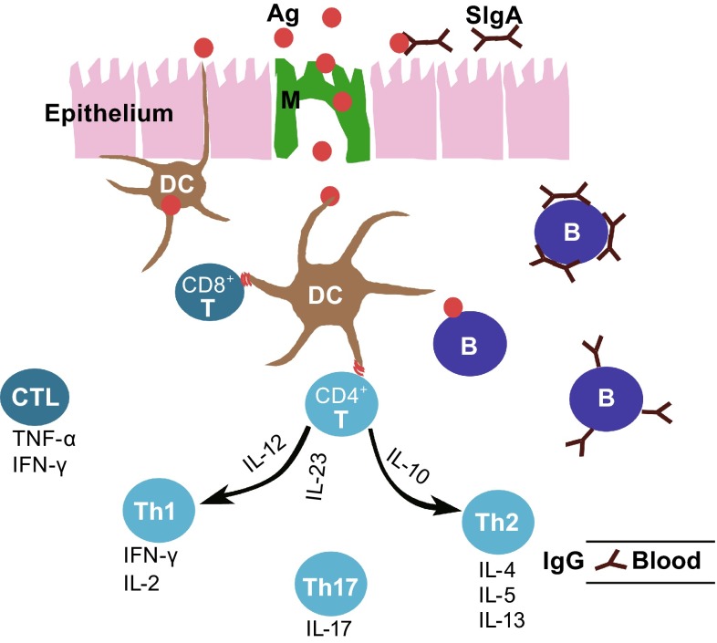 Figure 1