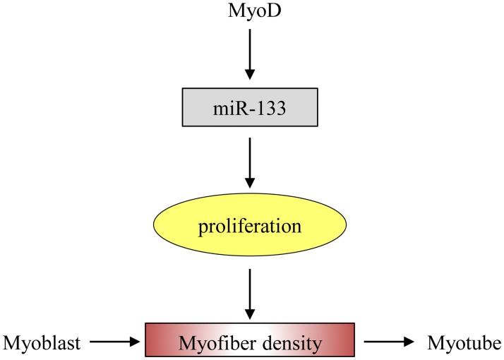 Fig 9