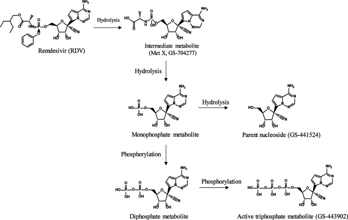 FIG 1