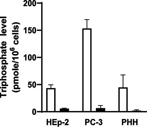 FIG 5