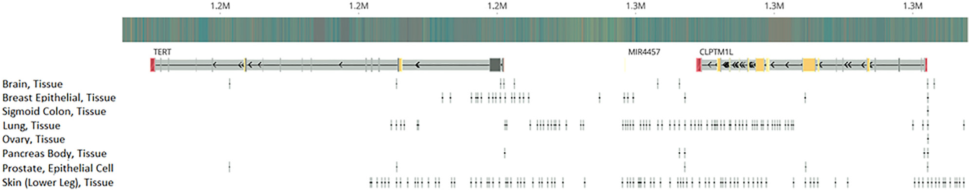 Figure 6.