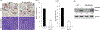 Figure 5: