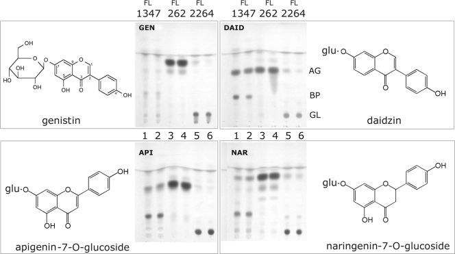 FIG. 4.