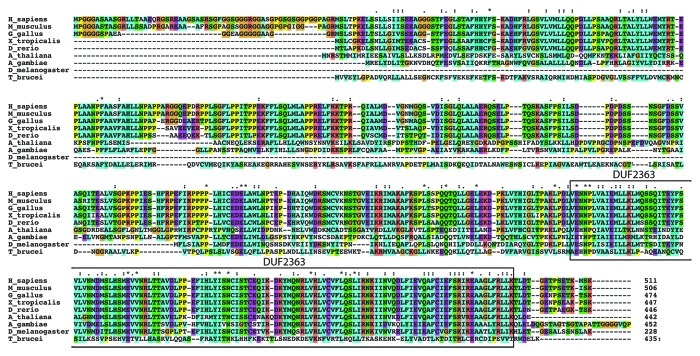 graphic file with name rna-10-267-g2.jpg