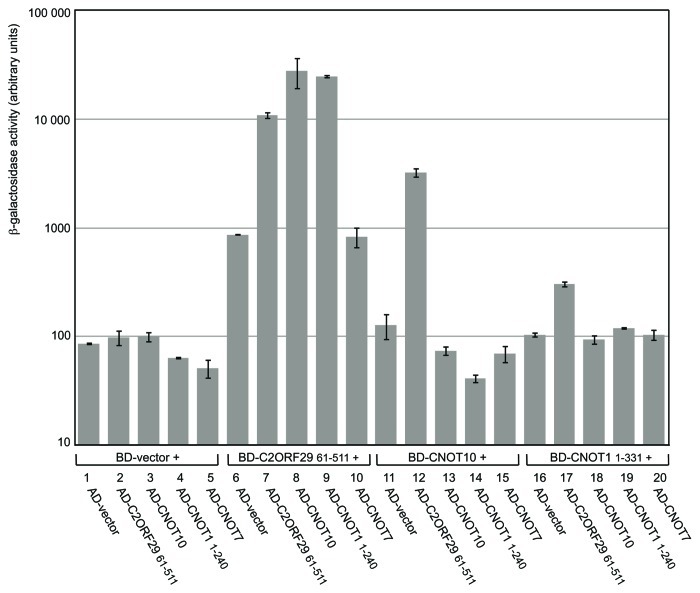 graphic file with name rna-10-267-g5.jpg