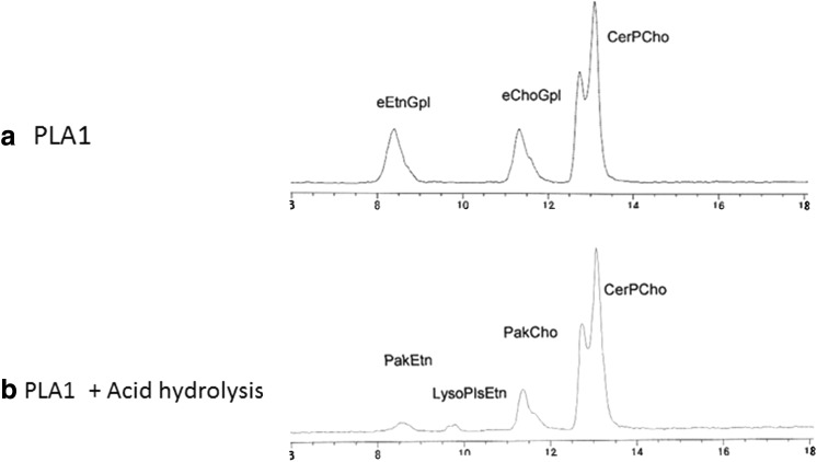 Fig. 6