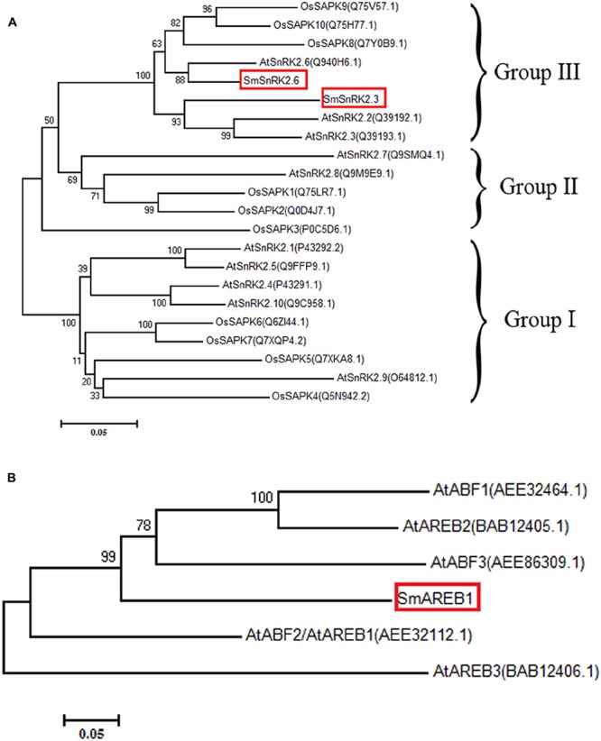 FIGURE 2