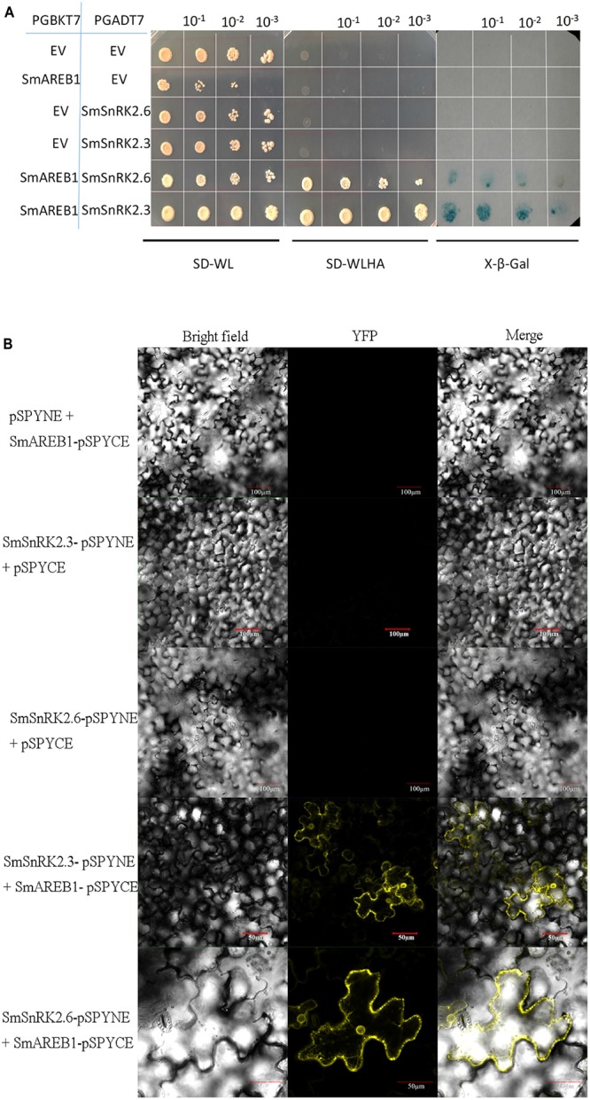 FIGURE 6