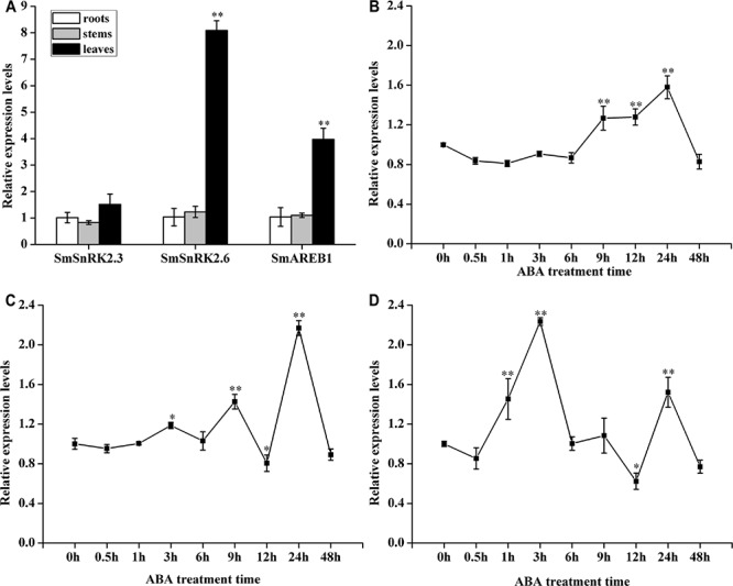 FIGURE 3