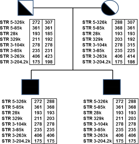 Fig. 1