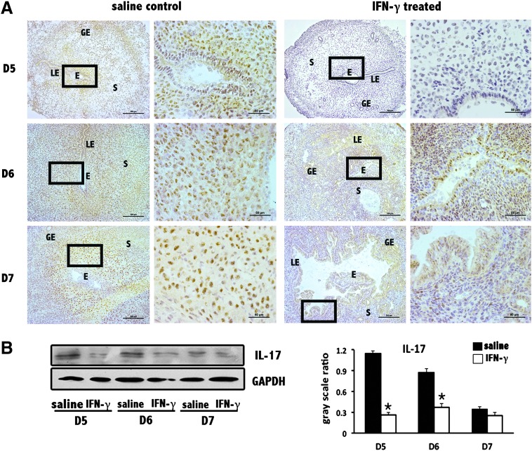 FIG. 6.