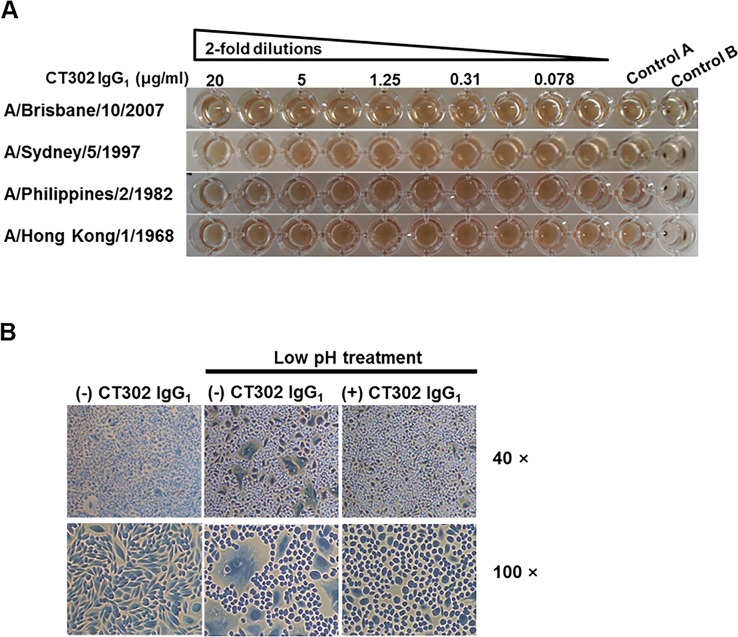 Fig 2