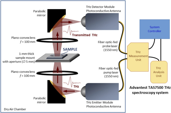 FIGURE 1