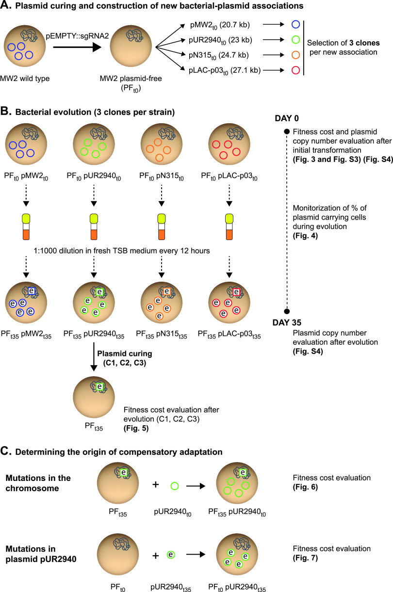 FIG 2