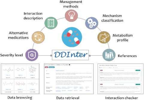 Graphical Abstract