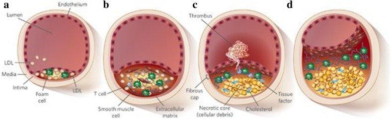 Fig. 1