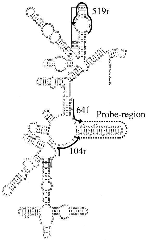 FIG. 2.