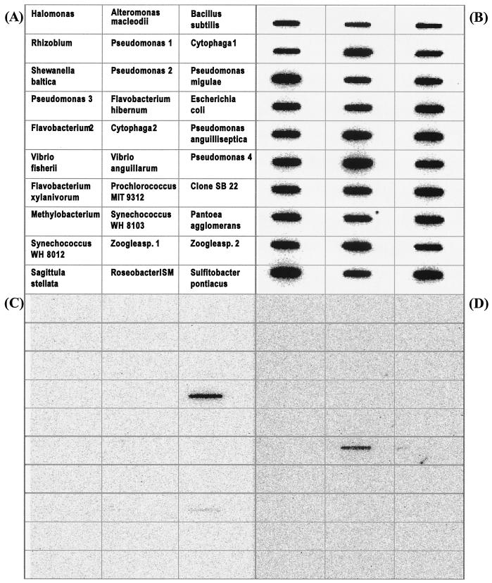 FIG. 7.