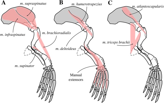 Figure 28