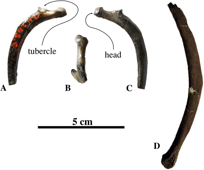 Figure 11