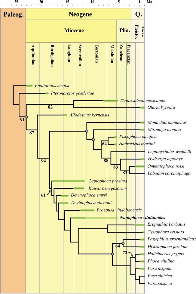 Figure 25