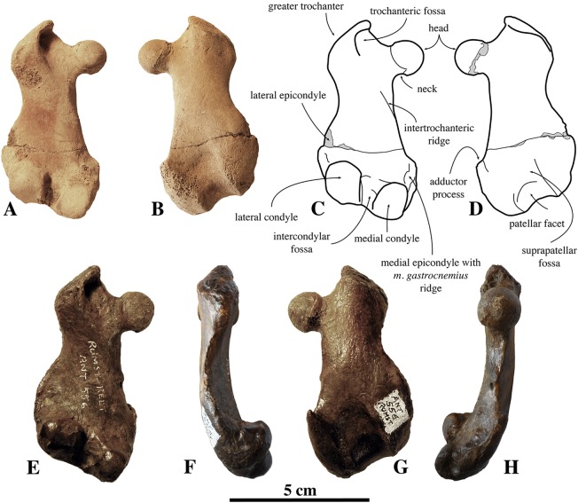 Figure 20