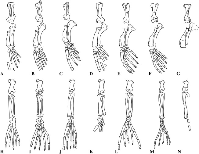 Figure 30