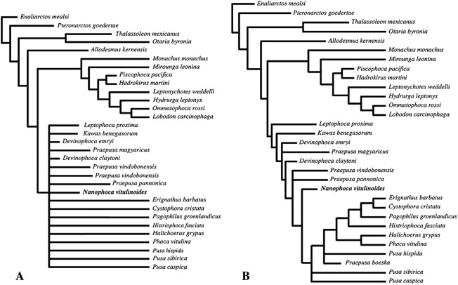 Figure 24