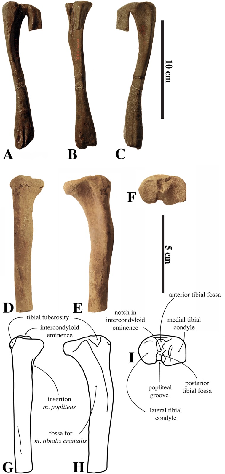 Figure 21