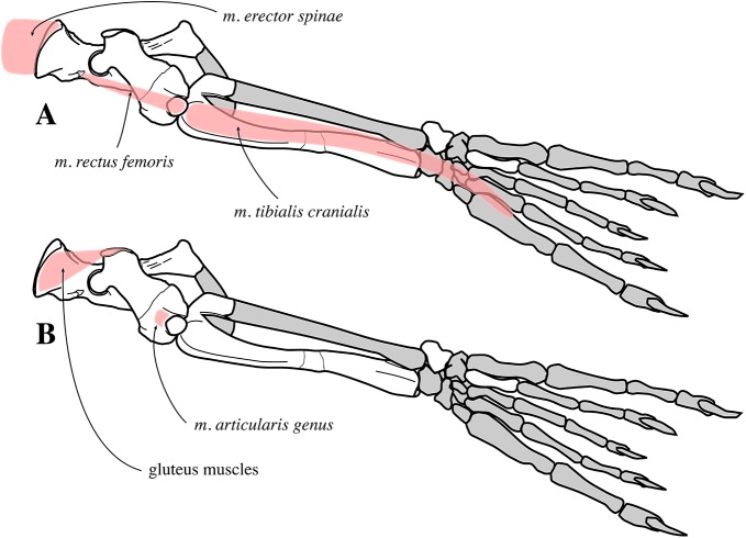 Figure 32