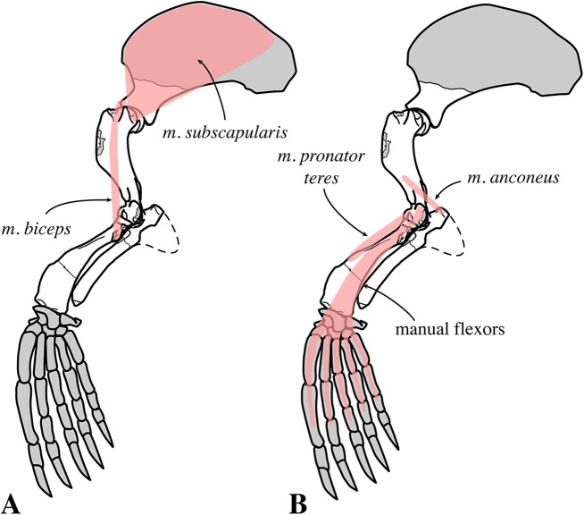 Figure 29