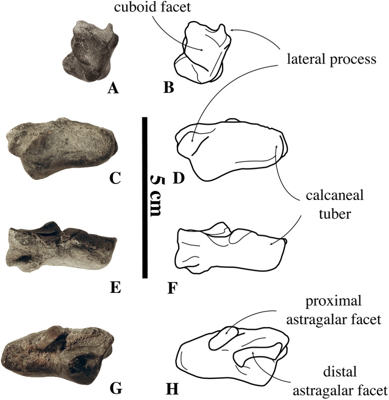 Figure 23