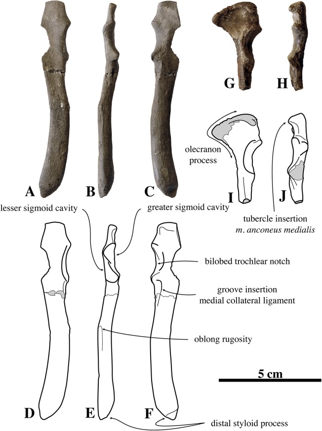 Figure 17