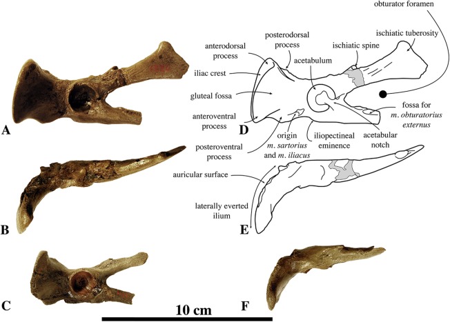 Figure 19