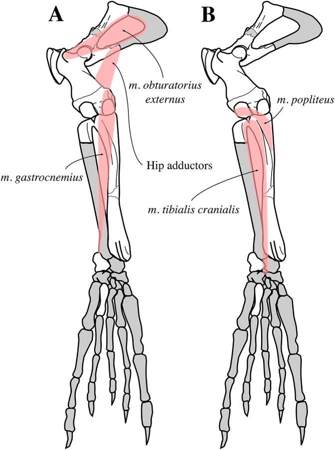 Figure 33