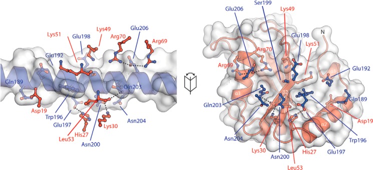 Figure 3.