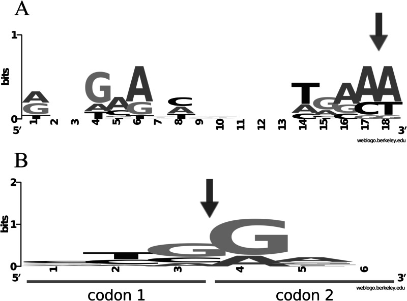 Fig 7