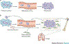 Figure 2 |