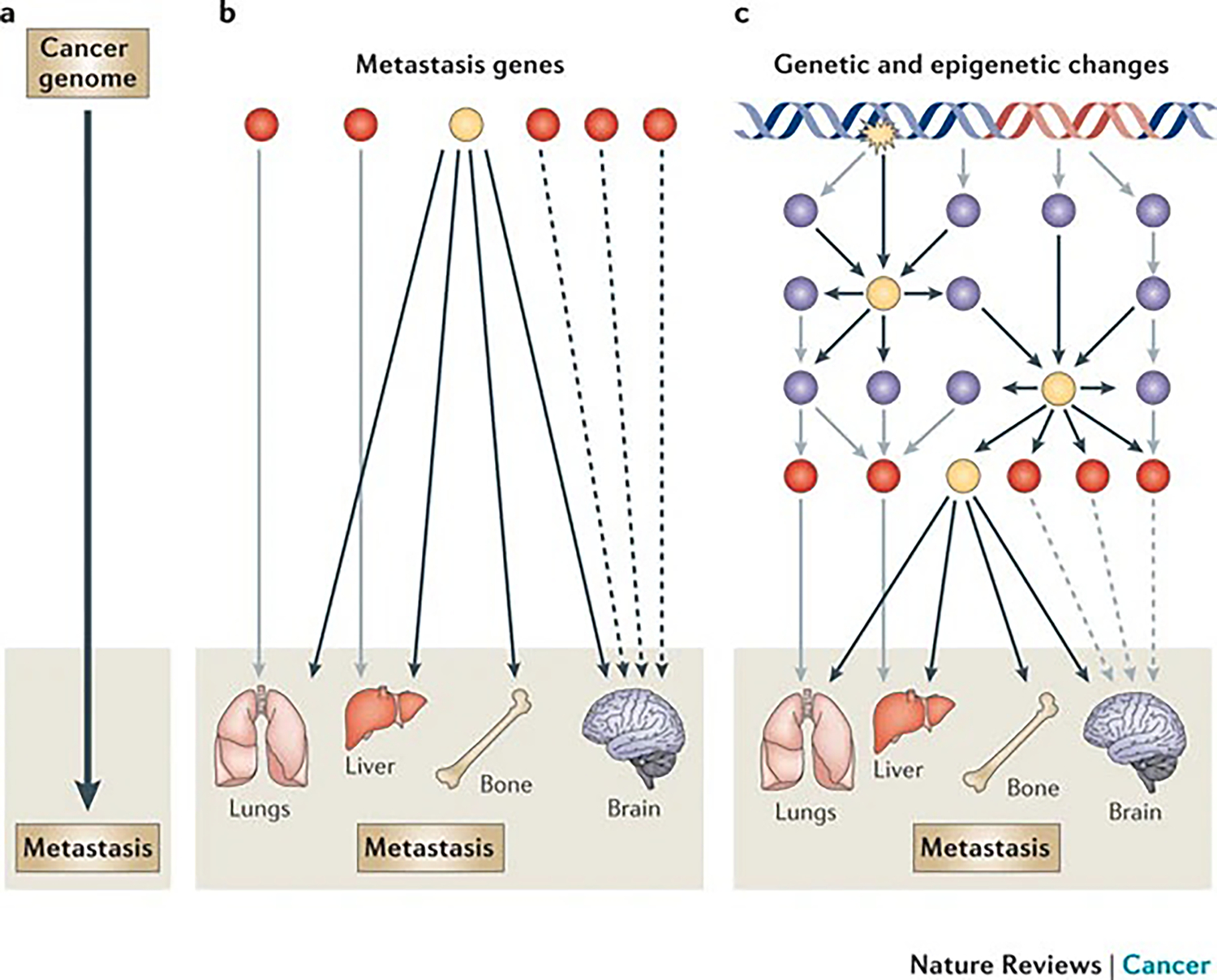 Figure 1 |