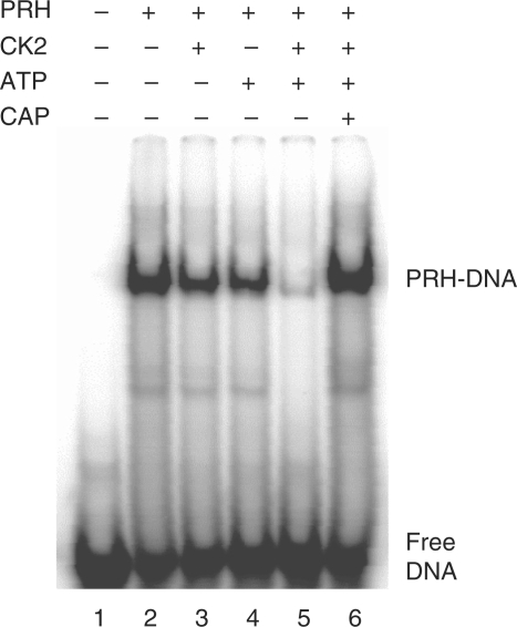 Figure 3.