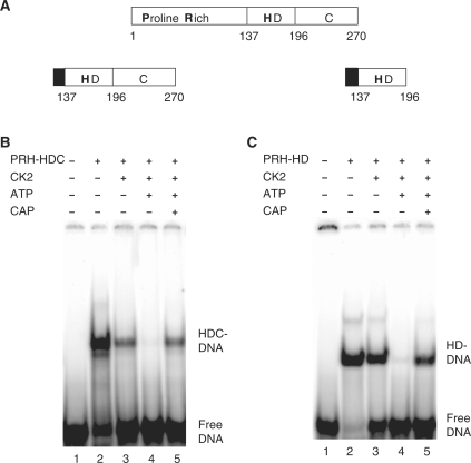 Figure 4.