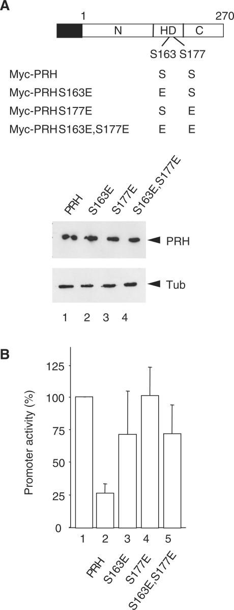 Figure 6.