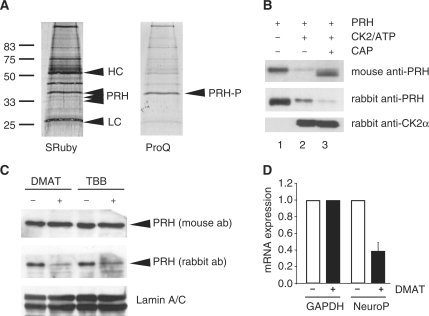 Figure 2.